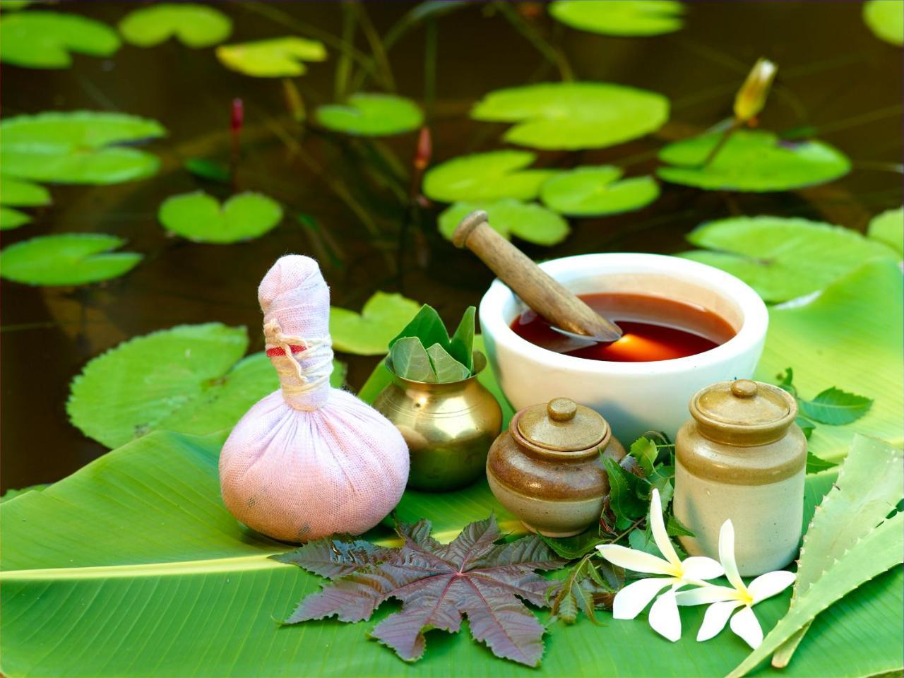 Kshetra Ayurveda & Yoga Retreat, فاركَالا المظهر الخارجي الصورة